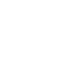 Blockchain Development